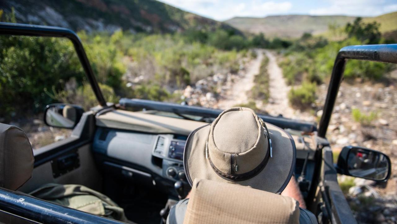 Gondwana Game Reserve Kleinberg ภายนอก รูปภาพ