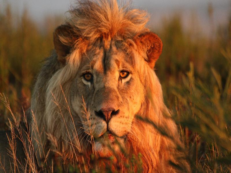 Gondwana Game Reserve Kleinberg ภายนอก รูปภาพ