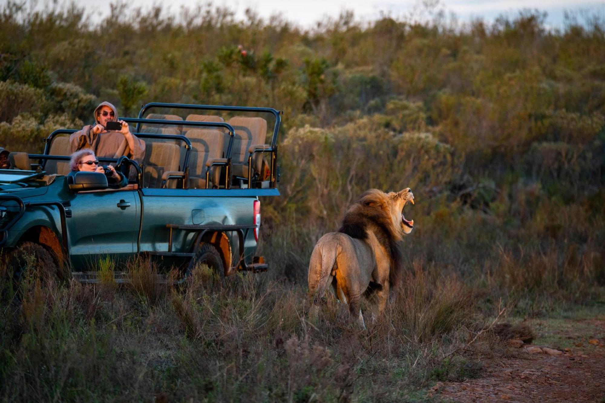 Gondwana Game Reserve Kleinberg ภายนอก รูปภาพ